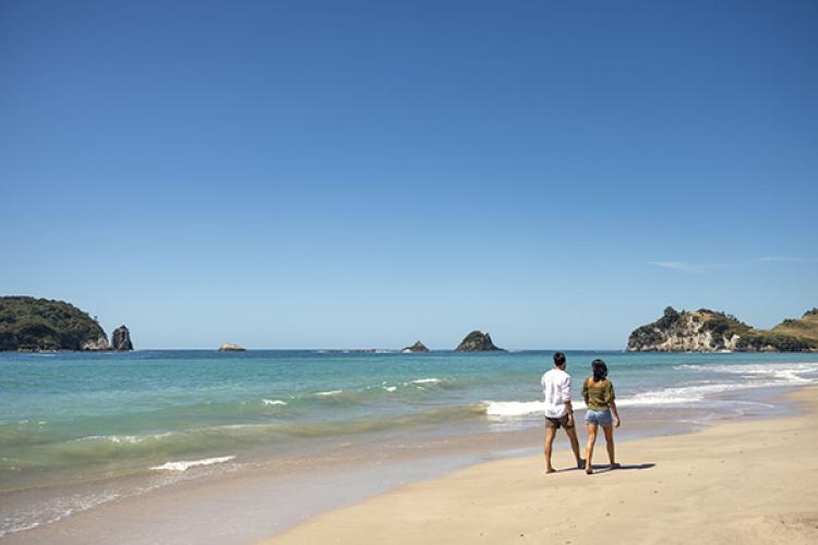 Living in New Zealand