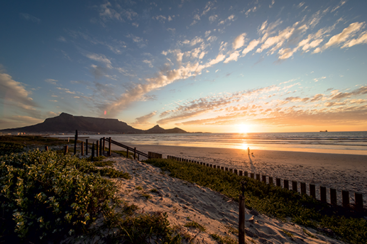 South Africa Skills in Demand